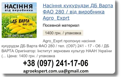 Продаж насіння кукурудзи ДБ Варта посівмат на 2026 рік від виробника