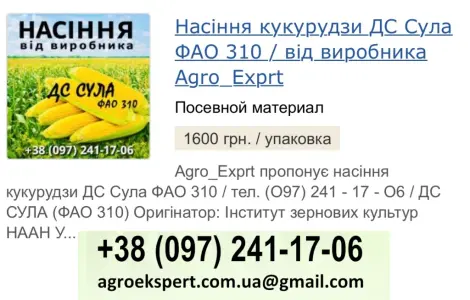 Насіння кукурудзи ДС Сула (ФАО 310) от Agro_Exprt