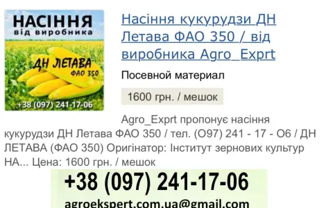 Насіння кукурудзи ДН Летава (ФАО 350) в продаже