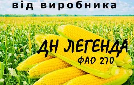 Насіння кукурудзи ДН Легенда ФАО 270 от производителя Agro_Exprt