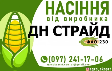 Гібрид кукурудзи ДН Страйд (ФАО 230). Насіння від виробника