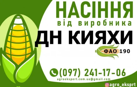 Гібрид кукурудзи ДН Кияхи (ФАО 190). Насіння від виробника