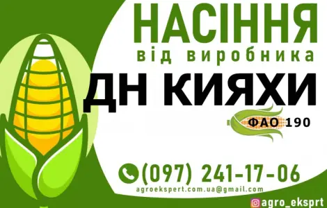 Гібрид кукурудзи ДН Кияхи (ФАО 190) від виробника