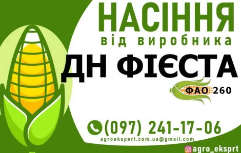 Гібрид кукурудзи ДН Фієста ( ФАО 260). Насіння від виробника