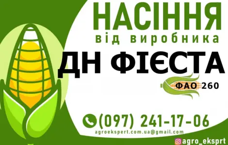 Гібрид кукурудзи ДН Фієста (ФАО 260) від виробника
