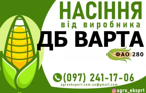 Гибрид кукурузы ДБ Варта (ФАО 280) от производителя