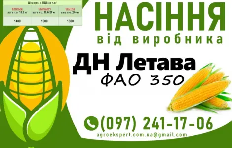 Насіння кукурудзи ДН Летава (ФАО 350) 2025 года от производителя