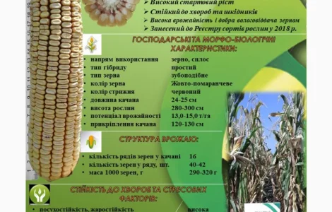 ДН Сармат ФАО 380