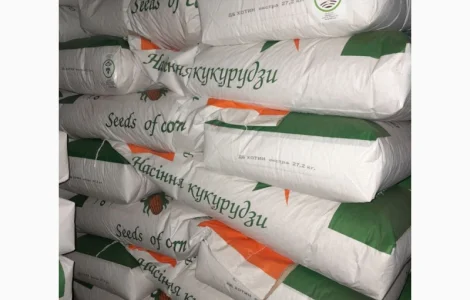 ДБ Хотин (ФАО 280)