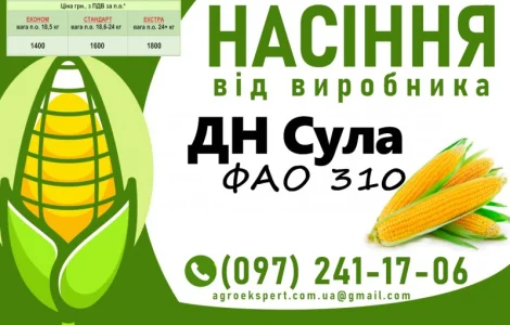 ДН Сула (ФАО 310) - Продаж насіння кукурудзи 2025 року