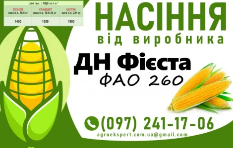 ДН Фієста (ФАО 260) - Продаж насіння кукурудзи 2025 року
