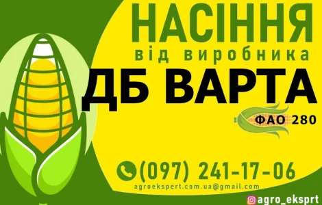Насіння від виробника - Гібрид кукурудзи ДБ Варта (ФАО 280)