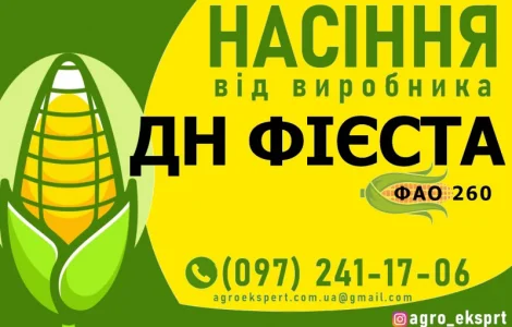 Насіння від виробника - Гібрид кукурудзи ДН Фієста ( ФАО 260)