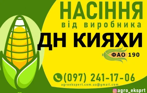 Насіння від виробника - Гібрид кукурудзи ДН Кияхи (ФАО 190)