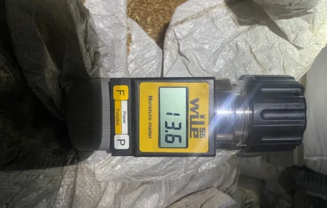 Продам пшеницю