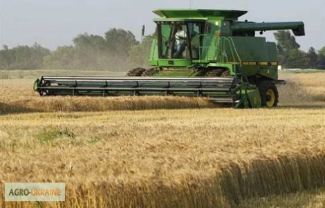 Куплю пшеницю