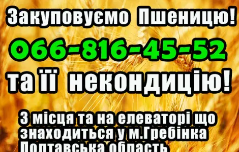 Элеватор закупает пшеницу 2, 3, 4 класса