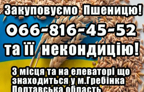Закуповуємо пшеницю 2