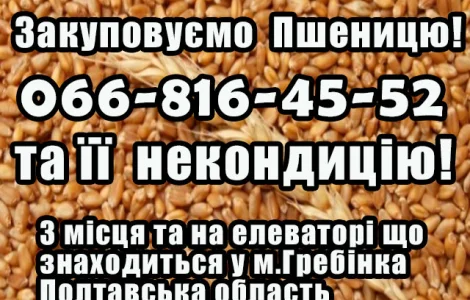 Купуємо пшеницю 2, 3, 4 класу