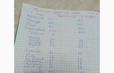 Продам пшеницю