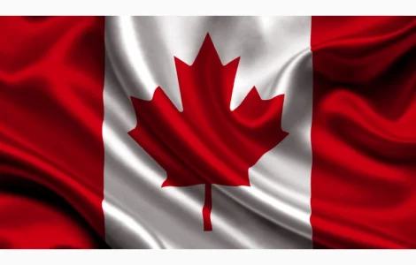 Семена Канадской пшеницы купить