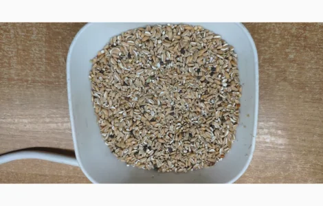 Пропонується пшениця подрібнена