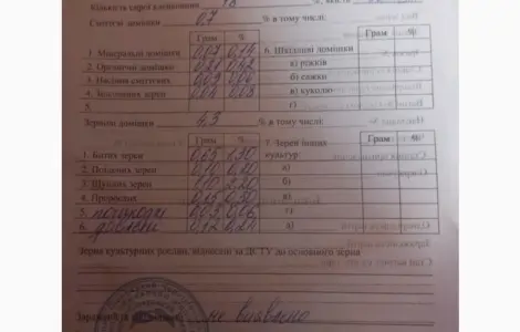 Пропонується озима пшениця