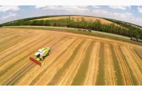 Закупаем пшеницу 2-3 класса в Ровно