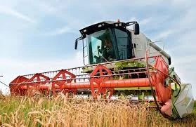 Куплю Пшеницю по всій Україні