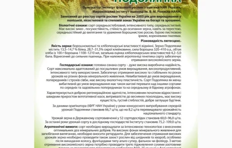 Сорт Подолянка (еліта) - Насіння озимої пшениці від виробника 2025