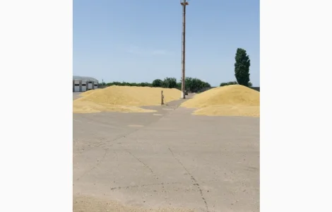 Куплю пшеницу(2