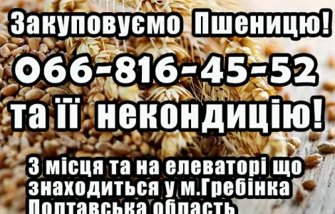 Закуповуємо пшеницю 2, 3, 4 клас