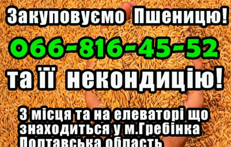 Закуповуємо пшеницю 2