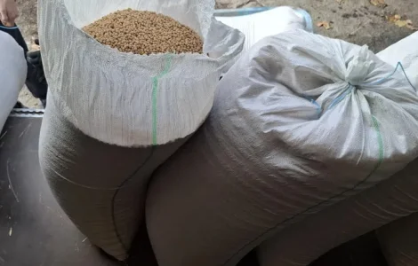 Продам горох на корм