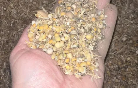 Продам відходи гороху