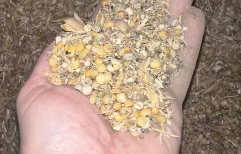 Продам отходы гороха