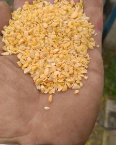 Горох сечка, горох колотый, отходы гороха