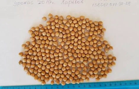 Нут калібр 6мм продам