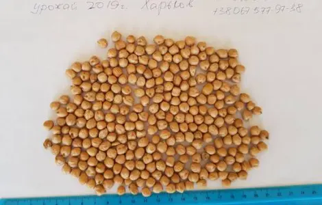 Нут калібр 6мм продам