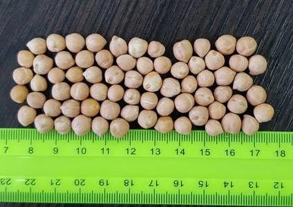 Нут сортекс від виробника 6 8 9