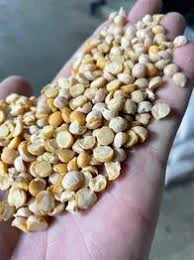 Нут половинки