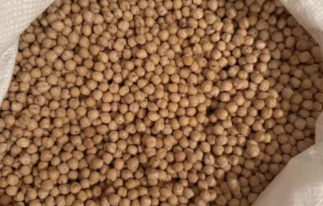 Нут Український,Нут Узбецкий ,Кус-кус, Маш