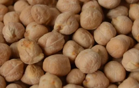 Горох Нут, чина семена