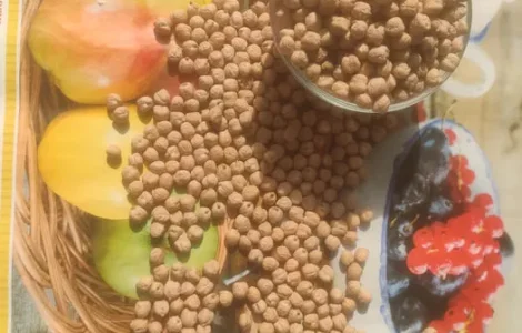 Турецький горох нут.Крупний нут.