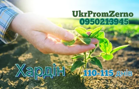 Продажа семян сои сорта Хардін 2025 года