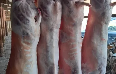 Баранина та ягнятина на продаж, живою вагою та тушкою