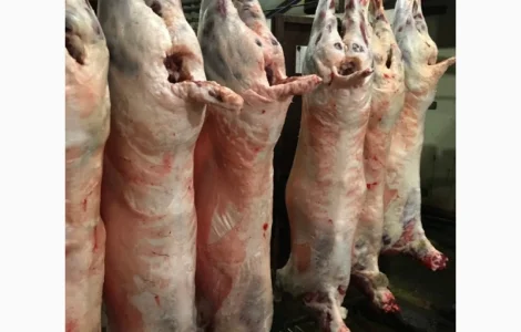 Тушки баранів та м'ясо молодого скота