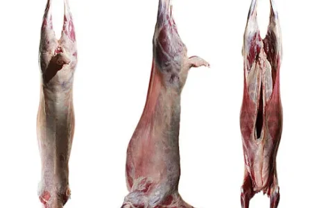 Тушки баранів різного віку у продажу