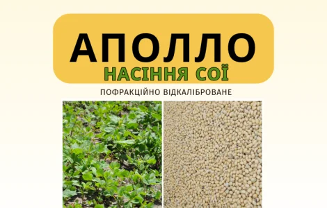 Семена сои Аполло под Раундап