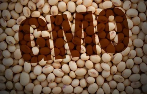 Семена Канадской сои 1 репродукция